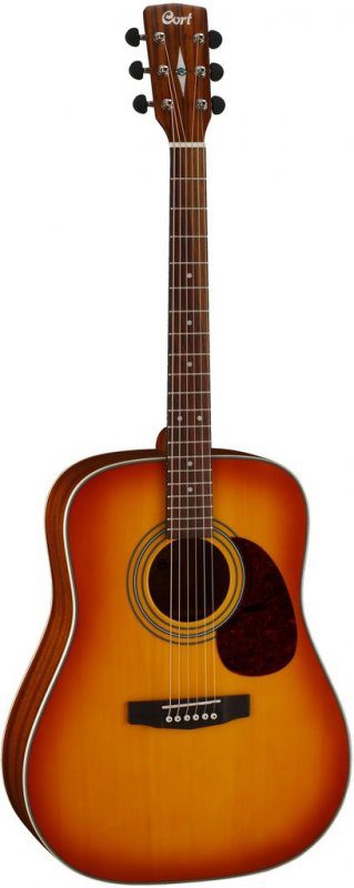 Cort Earth 70