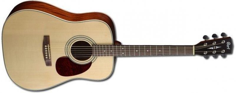 Verdikt: Cort Earth 70