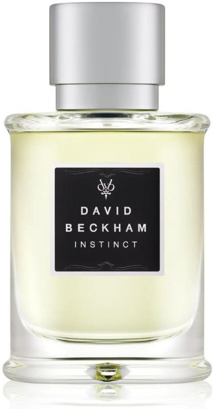 Recenze David Beckham Instinct toaletní voda pánská 75 ml