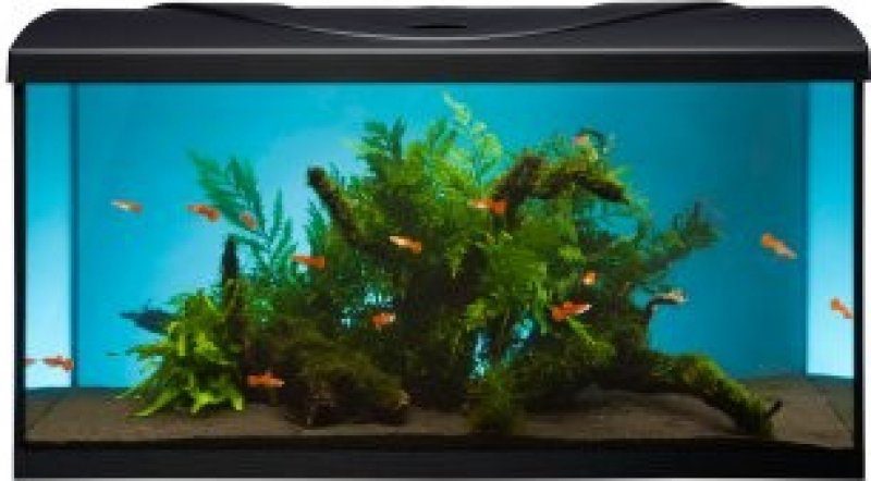 Recenze Diversa akvarijní set Startup 80 rovný LED Expert černá 112 l