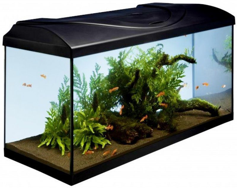 Hodnocení Diversa akvarijní set Startup 80 rovný LED Expert černá 112 l