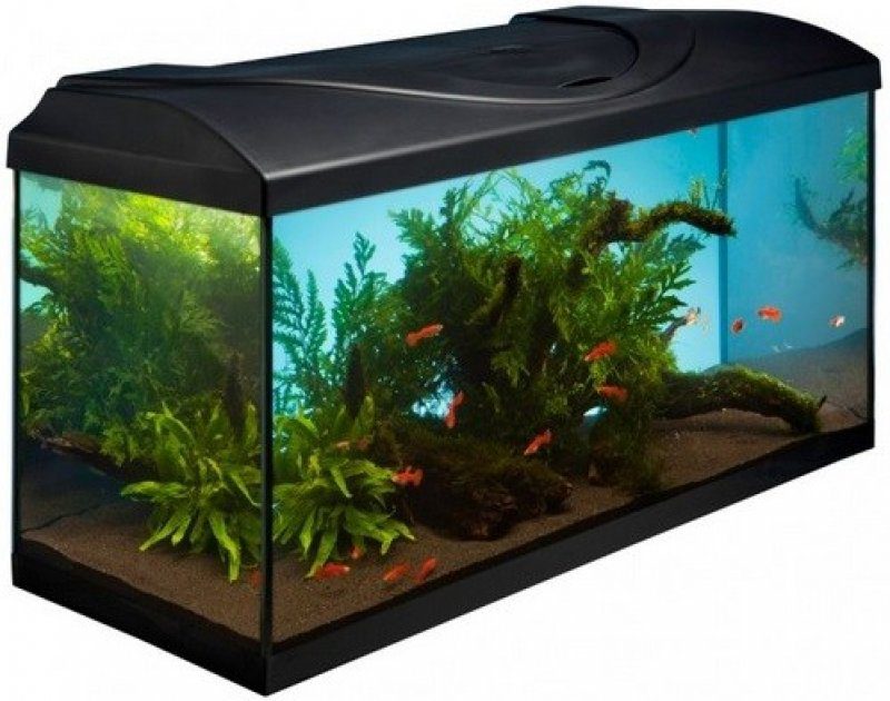  Diversa akvarijní set Startup 80 rovný LED Expert černá 112 l