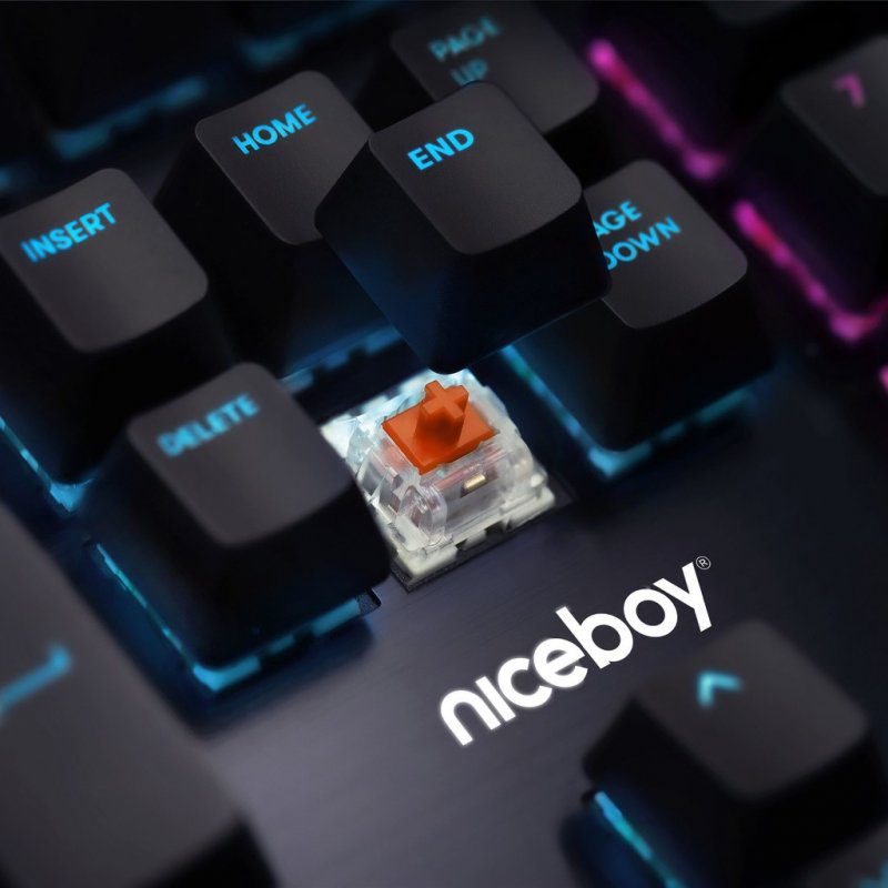 Testování Niceboy ORYX K445 Element