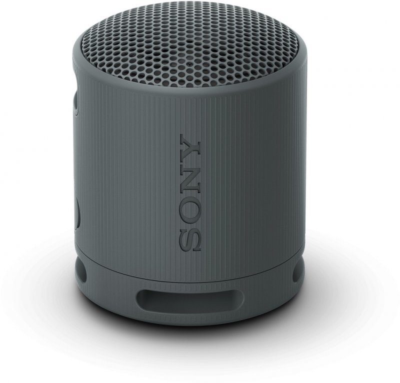 Průzkum Sony SRS-XB100
