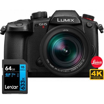 Panasonic Lumix DC-GH5 II