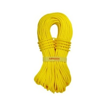 Tendon Ambition 9,8 mm 50 m Standard