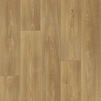 Beaulieu Fortex 2907 4 m 1 m²