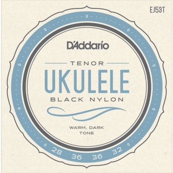 D'addario EJ53T