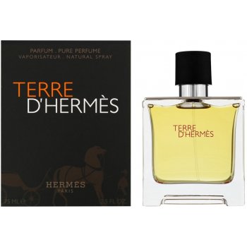 Hermès Terre D'Hermès toaletní voda pánská 100 ml
