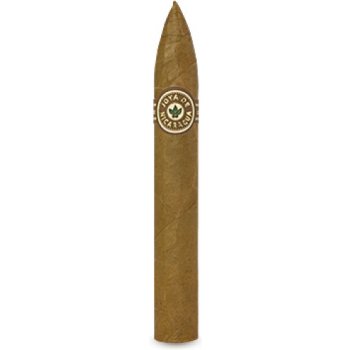Joya de Nicaragua Clásico Torpedo