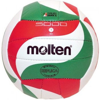 Molten V1M300