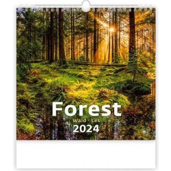 Nástěnný Les 2024