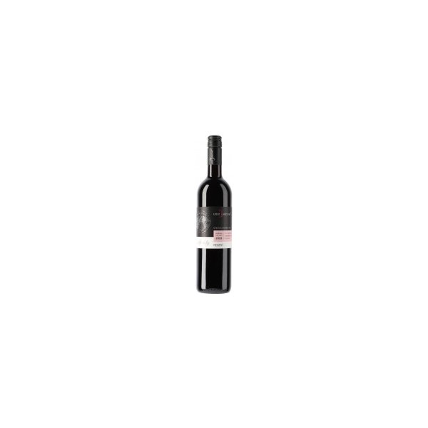 Víno Hruška Regent 2022 červené polosuché 0,75 l
