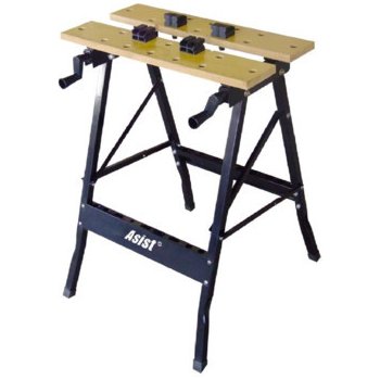 ASIST AR99-5001
