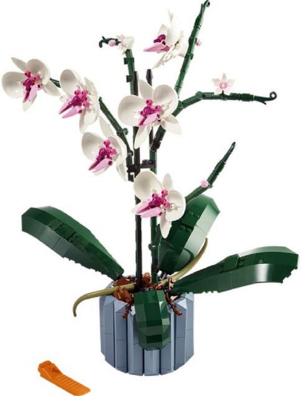 LEGO® Icons 10311 Orchidej
