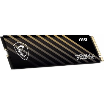 MSI SPATIUM M461 1TB, S78-440L1D0-P83