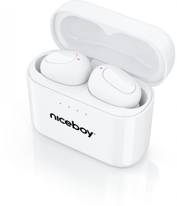 Verdikt: Niceboy HIVE Podsie 2021