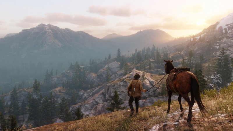Testování Red Dead Redemption 2