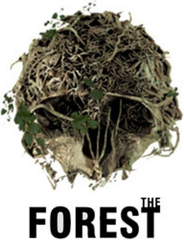 Pohled na The Forest