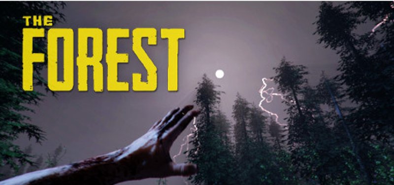 Podívejte se na The Forest