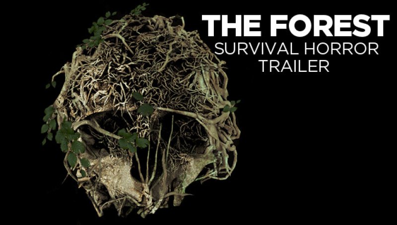 Pohled na The Forest