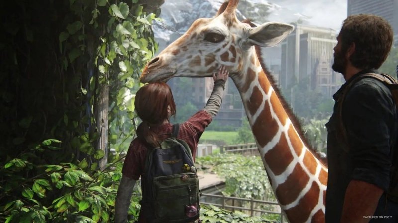 Pozorování The Last of Us: Part I
