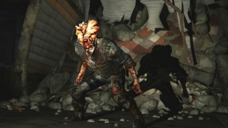 Pozorování The Last of Us Remastered