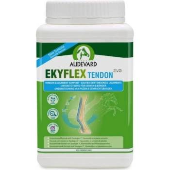 Audevard EKYFLEX TENDON 1,2 kg
