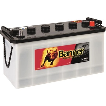 Banner Buffalo Bull 12V 100Ah 600A 600 26
