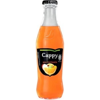 Cappy Multivitamín 52% sklo 24 x 250 ml