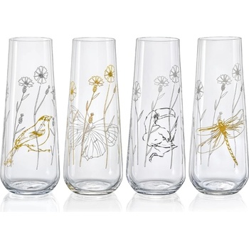 Crystalex Sklenice na prosecco MEADOW 4 x 250 ml