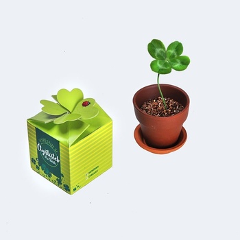 Divja Vypěstuj si čtyřlístek pro štěstí