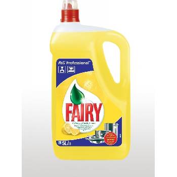 Fairy Expert Professional přípravek na mytí nádobí 5 l