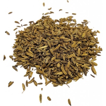 Grešík Fenykl plod 1 kg