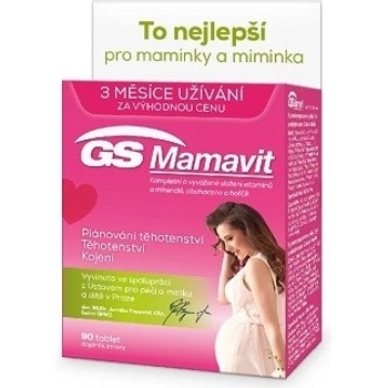 GS Mamavit 1 Plánování a 1. trimestr 90 tablet