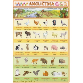Obrázková angličtina 1 - Zvířata - Kupka a kolektiv Petr