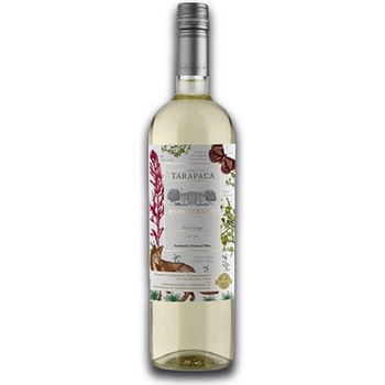 Tarapacá Biodiversity Pinot Grigio 2021 12,5% LE 0,75 l (holá láhev)