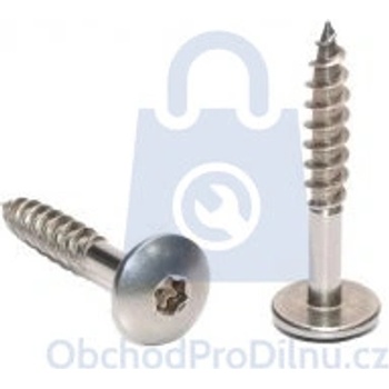 Vrut s půlkulatou hlavou širokou Torx20, Trespo, nerez A2 4,8 x 25, balení 100 ks