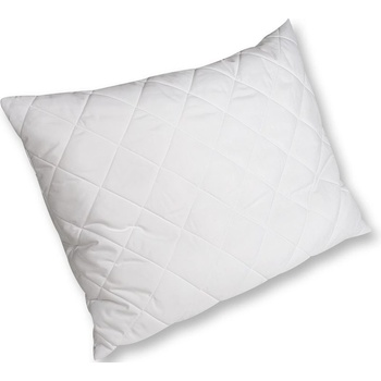 2G Lipov polštář Aloe Vera 70x90