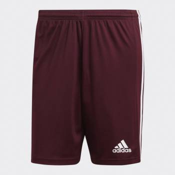 adidas squadra 21 jr GK9156shorts