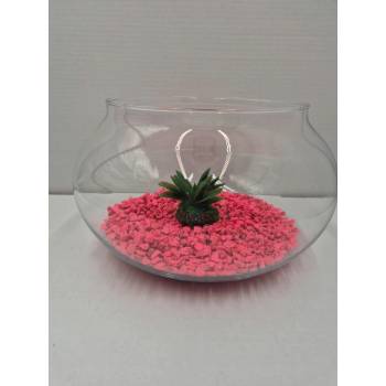 Agro Elipsa 25 x 25 x 16 cm, 5 l