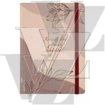 Albi DI1 B6 denní 2026 Nový začátek