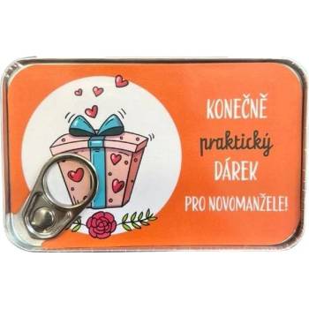 ALBI Plechovka na peníze narozeniny dárek