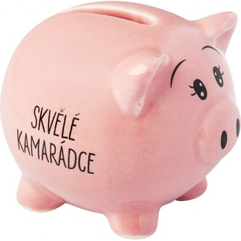 Albi Prasátko pro radost pokladnička Skvělé kamarádce 6 x 7,5 cm