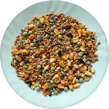 Avicentra Classic Holub 25 kg