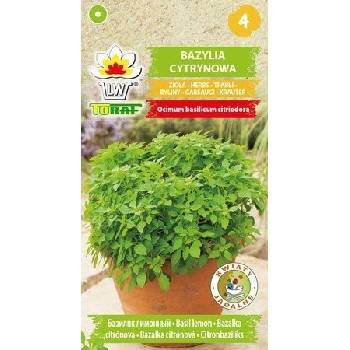 Bazalka citronová -Ocimum basilicum citriodora /250 semen/