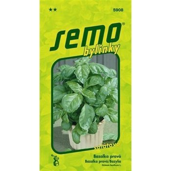bazalka LETTUCE LEAF