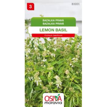 Bazalka pravá - Lemon Basil