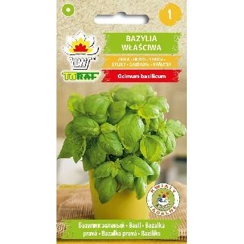 Bazalka pravá- Ocimum basilicum /480 SEMEN/