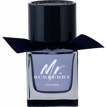 Burberry Mr. Burberry toaletní voda pánská 50 ml
